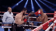 toprank fight boxing fighting espn GIF