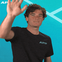 Go Away Pickleball GIF by APP