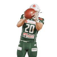 Rannfl Itsallabouttheu Sticker by Schwäbisch Hall Unicorns