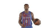 Fc Barcelona Basketball Sticker by ACB