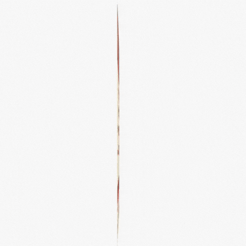 Lollapalooza Videographer GIF by Respective