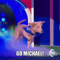 GIF by Puppy Bowl