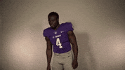 St Thomas First Down GIF by Tommie Athletics