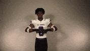 No Fly Zone Tommies GIF by Tommie Athletics