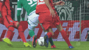 goal bundesliga GIF by SV Werder Bremen