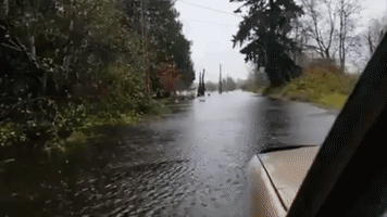 Heavy Rainfall and Powerful Winds Cause River to Overflow in Northern Washington