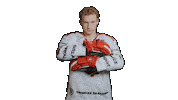 Trinec Sticker by HC Oceláři Třinec