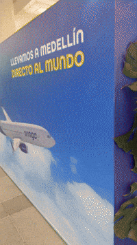 GIF by Wingo