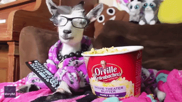 Goat Edition: Netflix and Chill
