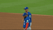 Blue Jays Baseball GIF by Toronto Blue Jays