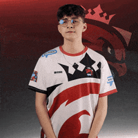 No Idk GIF by Austrian Force eSports