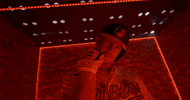 Sport Fun GIF by Baltimore Orioles