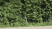 Auto Auf GIF by Die Linke Schwelm