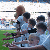 Football Mascots GIF by Bolton Wanderers FC