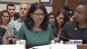 news hearing rashida tlaib GIF