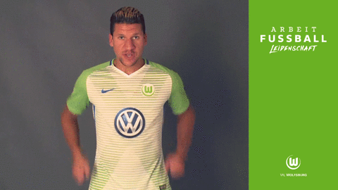 jeffrey bruma celebration GIF by VfL Wolfsburg