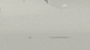 Slow Motion Wow GIF