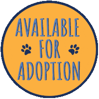 Adoption Adopt Sticker by Muddy Paws Rescue NYC