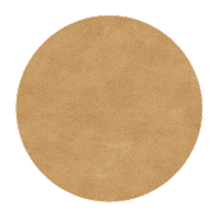Bielenda_Professional cosmetics kosmetyki pielegnacja active ingredients Sticker