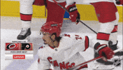 Happy Carolina Hurricanes GIF by NHL
