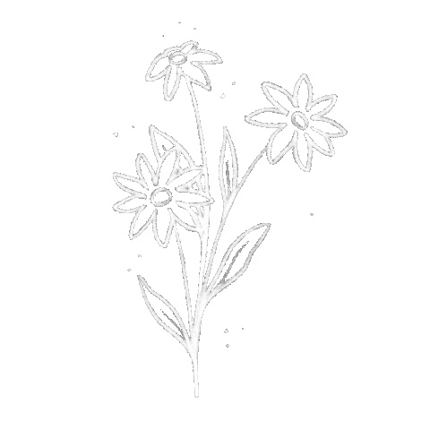 steph_fireflyatelier nature flowers plants simple Sticker