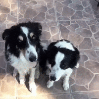 hug GIF