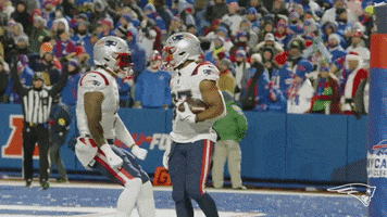 Damien Harris Good Job GIF by New England Patriots