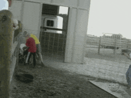 GIF by Random Goat