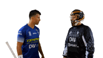 Floorball Deli Sticker by Český florbal