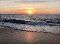 Summer Travel GIF by world-weather.ru