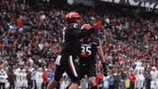 Celebrate University Of Cincinnati GIF by Cincinnati Bearcats