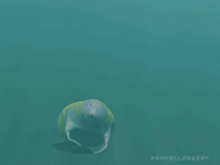 I Love You Hello GIF