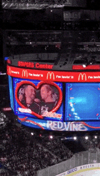 news nhl GIF