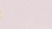 Football Sport GIF by FC Red Bull Salzburg