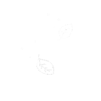Leaf Sticker