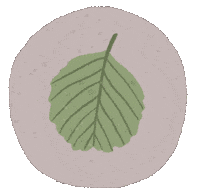 Leaf Природа Sticker by Сойкин след