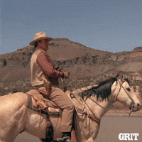 Come On Wave GIF by GritTV