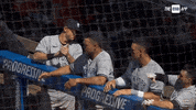 Happy Home Run GIF by YES Network