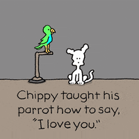 I Love You Ily GIF by Chippy the Dog