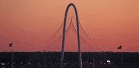 texas dallas GIF