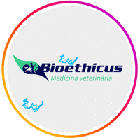 Vets Biotecnologia GIF by Regenevets