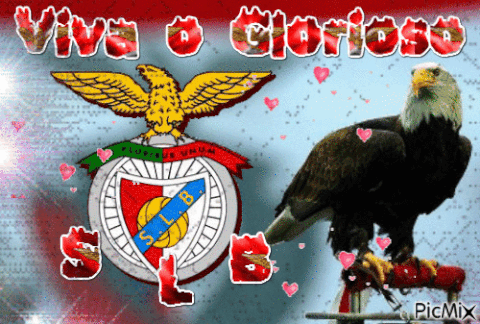 benfica GIF