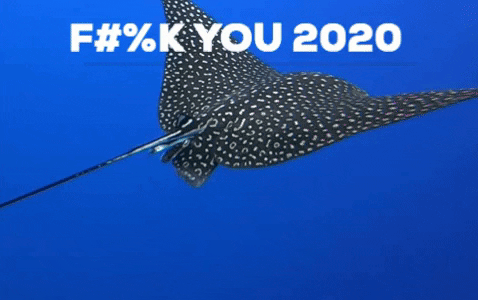TheDiveBus giphygifmaker covid corona covid-19 GIF