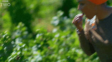 bbc eat cooking bbc ugh GIF