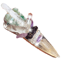 theconsciousfooodie tcf adelmehmet crystalclips Sticker