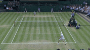 kevin anderson umpire GIF by Wimbledon