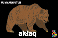 Inuvialuit GIF by Tusaayaksat Magazine