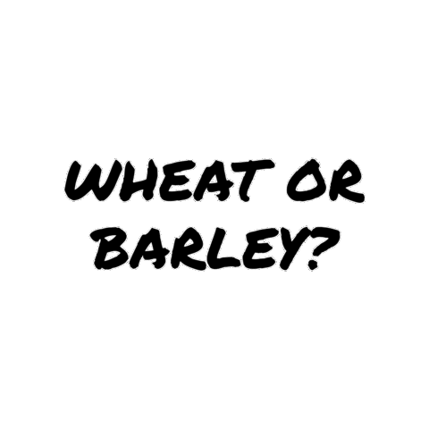 Wheat Barley Sticker by fieldtrippers