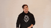 League Of Legends Lol GIF by G2 Esports