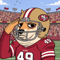 San Francisco 49Ers Football GIF by Doge Pound